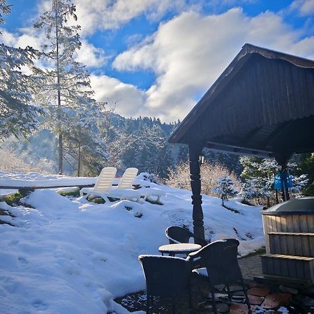 Alpina Panoramic Hotel Moisei Luaran gambar