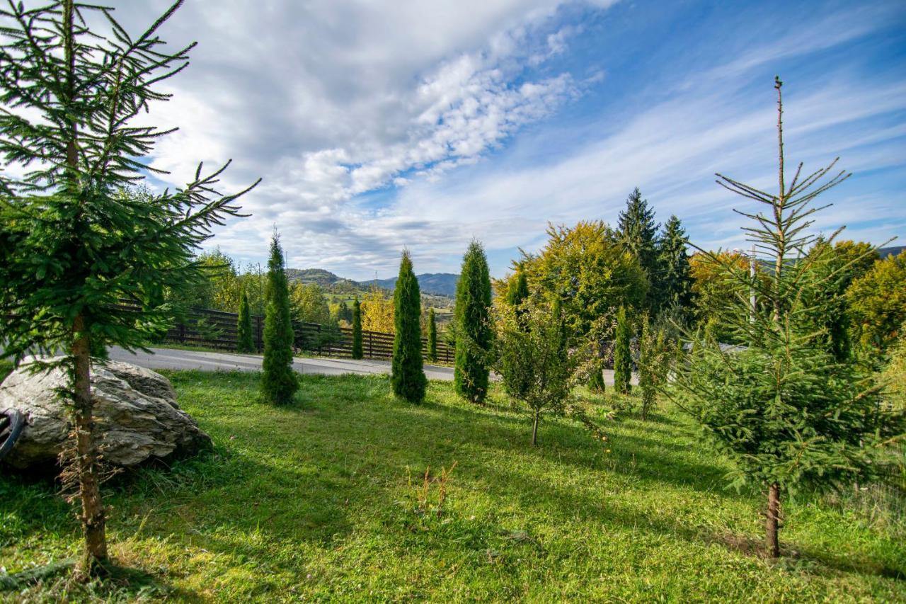 Alpina Panoramic Hotel Moisei Luaran gambar