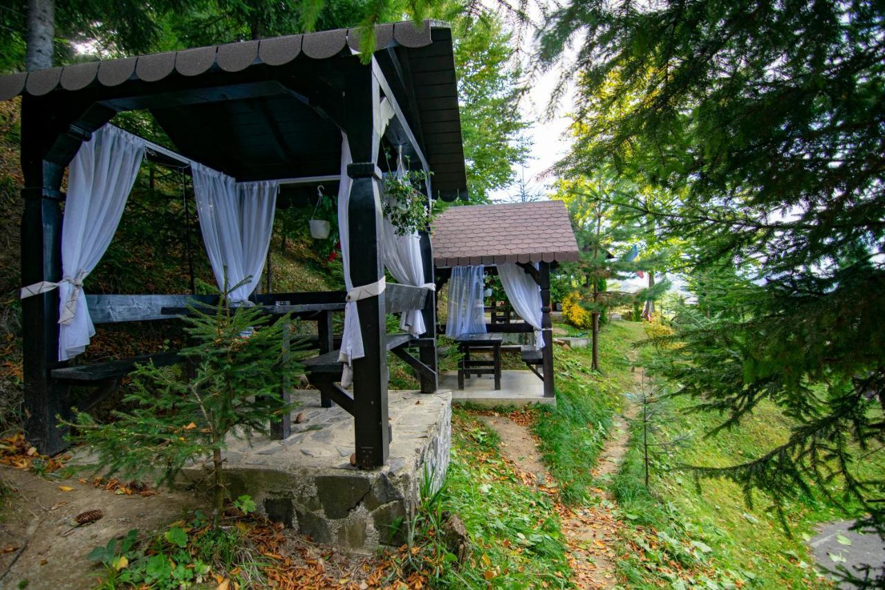 Alpina Panoramic Hotel Moisei Luaran gambar
