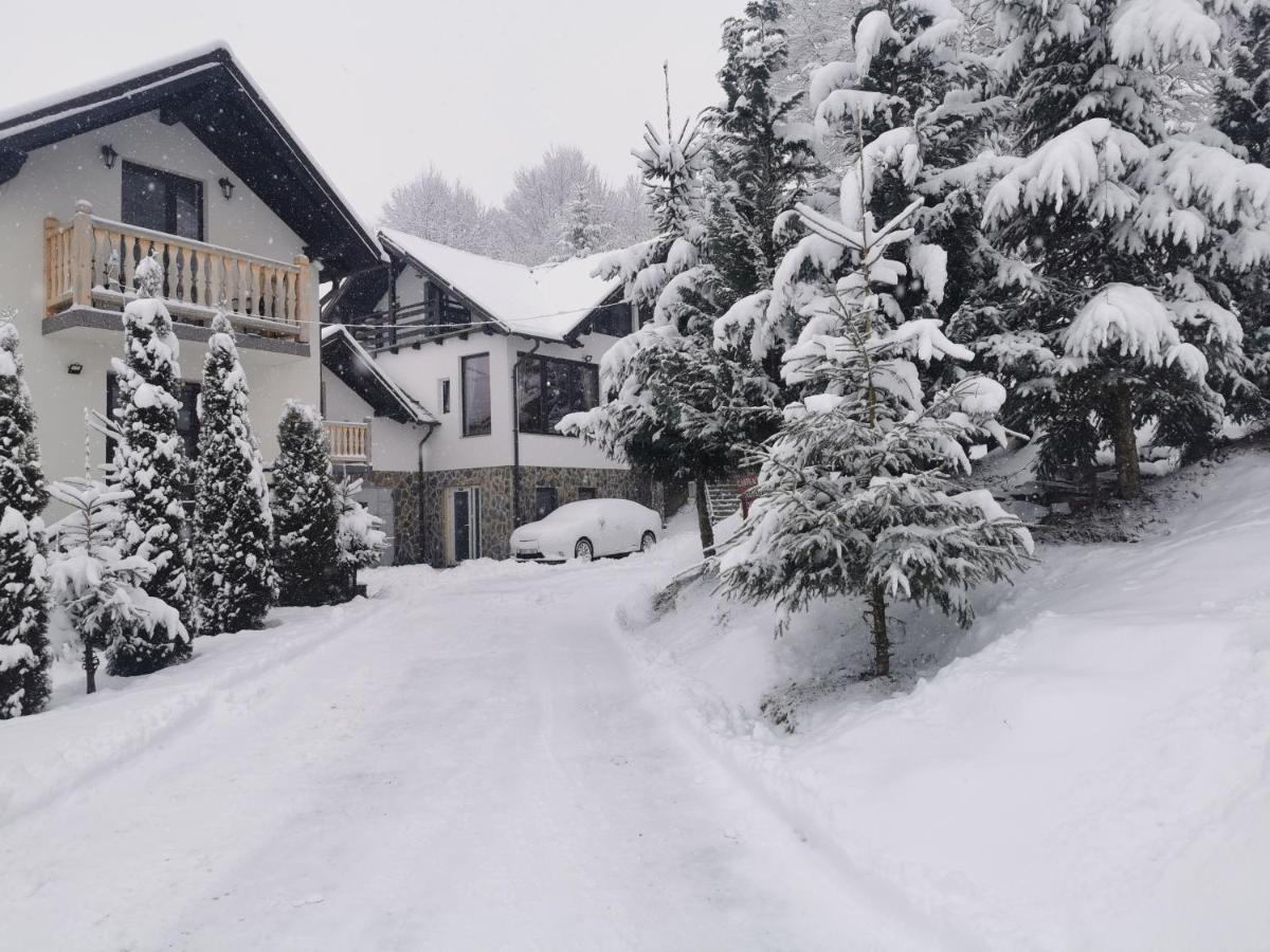 Alpina Panoramic Hotel Moisei Luaran gambar