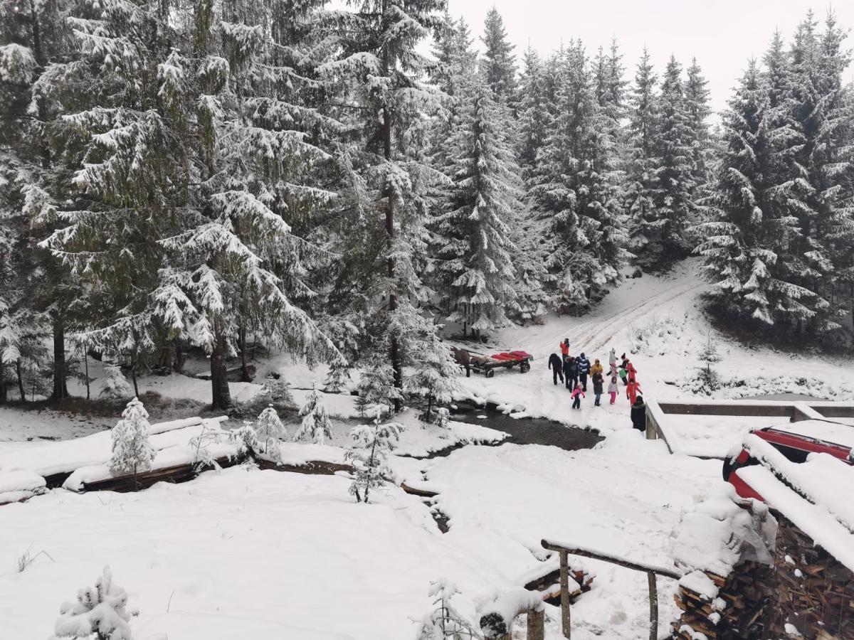 Alpina Panoramic Hotel Moisei Luaran gambar