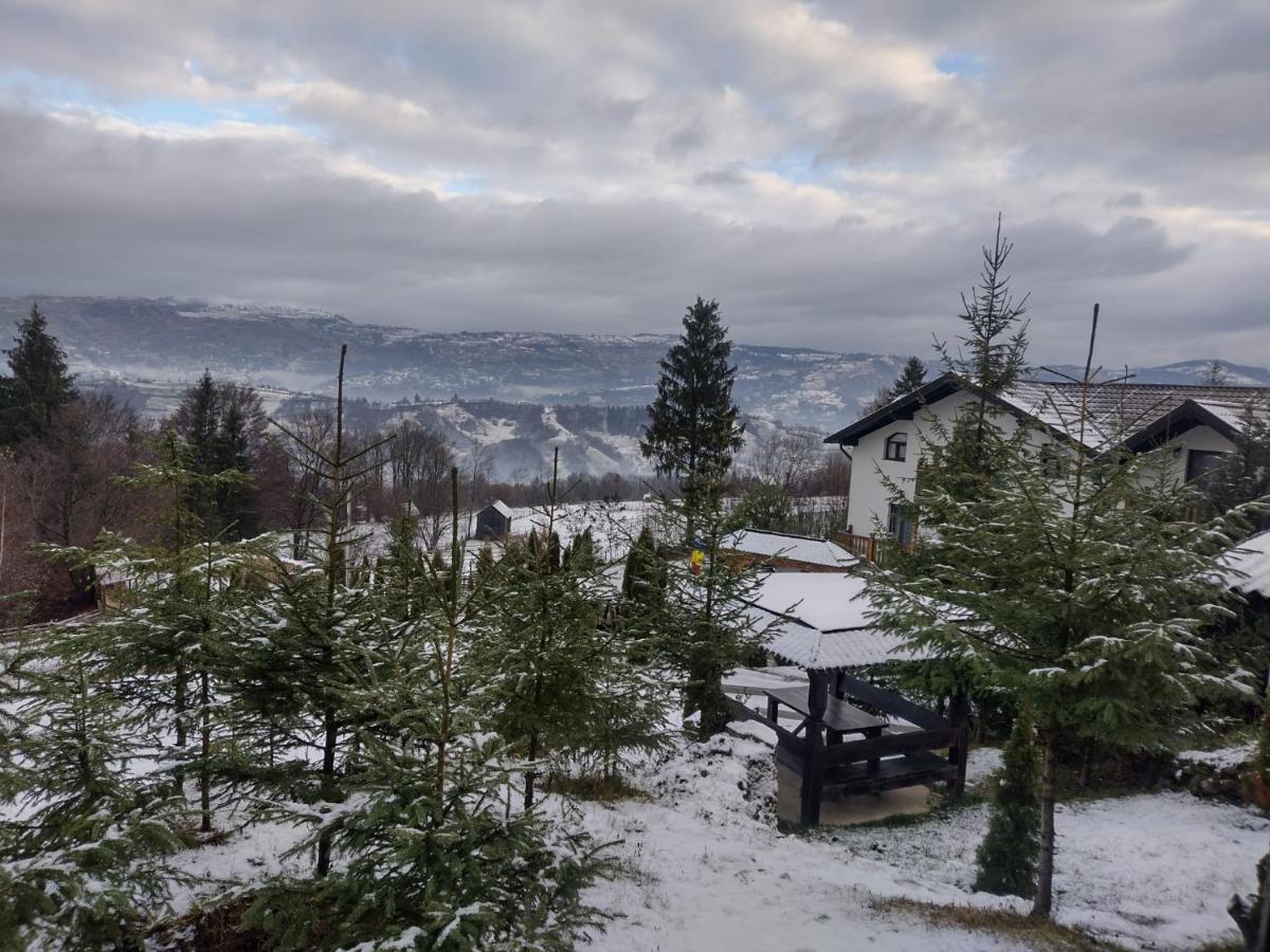 Alpina Panoramic Hotel Moisei Luaran gambar