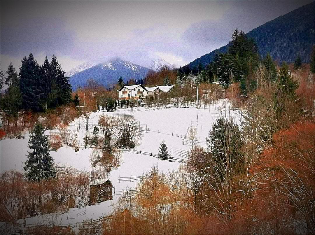 Alpina Panoramic Hotel Moisei Luaran gambar
