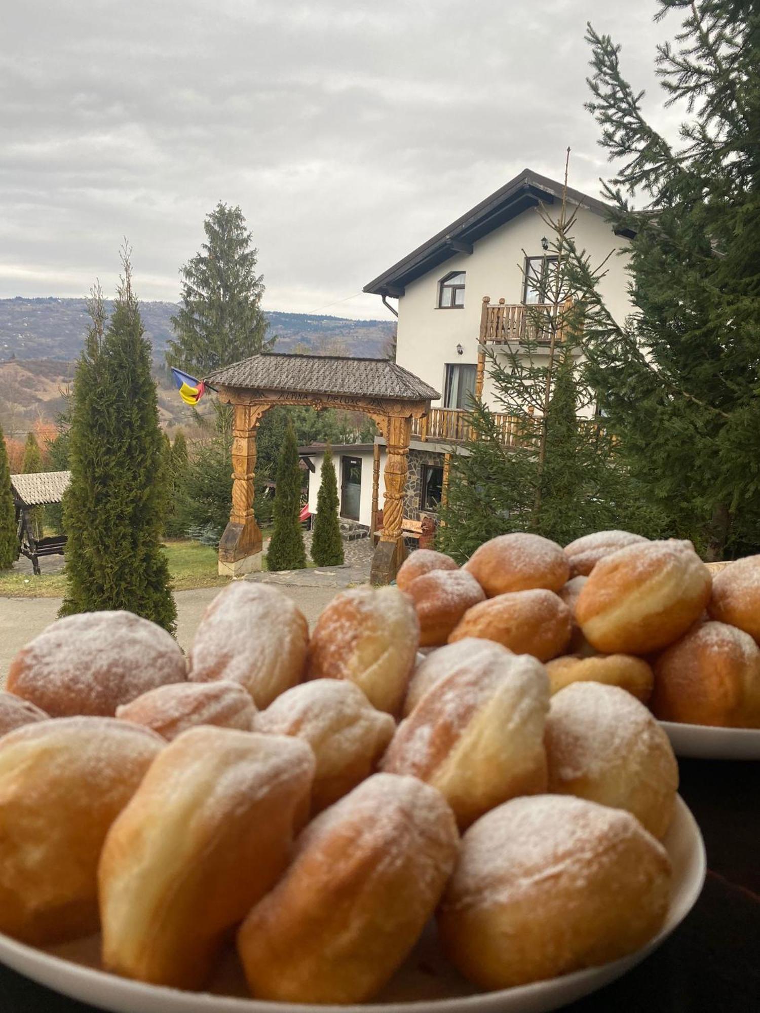 Alpina Panoramic Hotel Moisei Luaran gambar