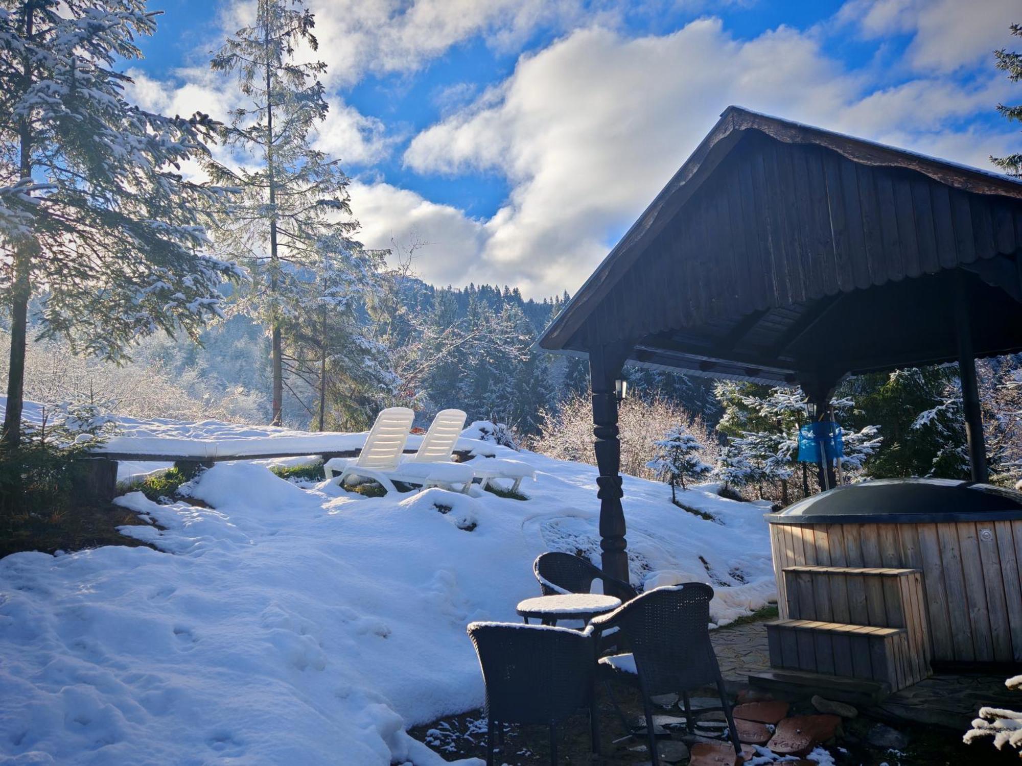 Alpina Panoramic Hotel Moisei Luaran gambar