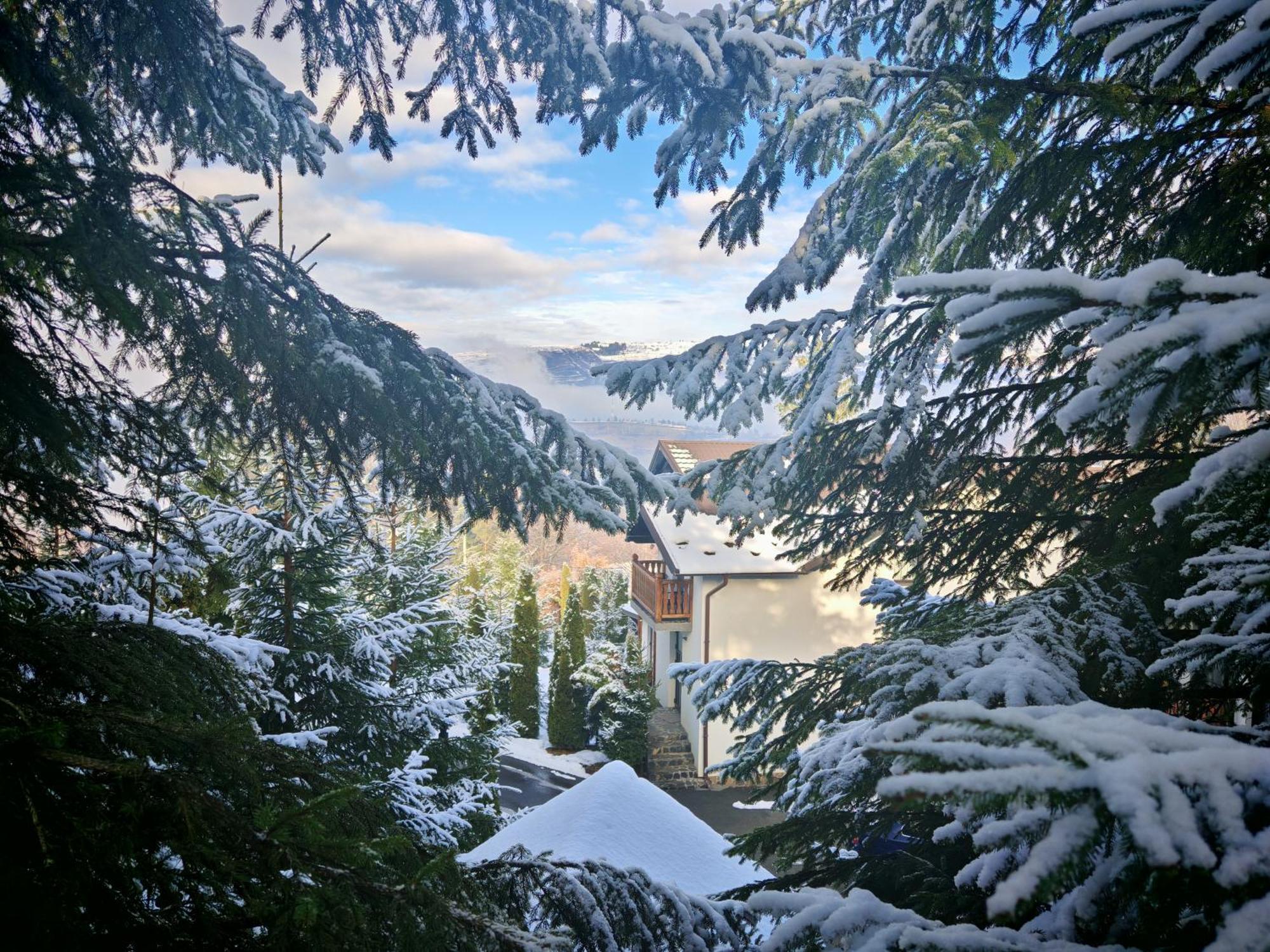 Alpina Panoramic Hotel Moisei Luaran gambar