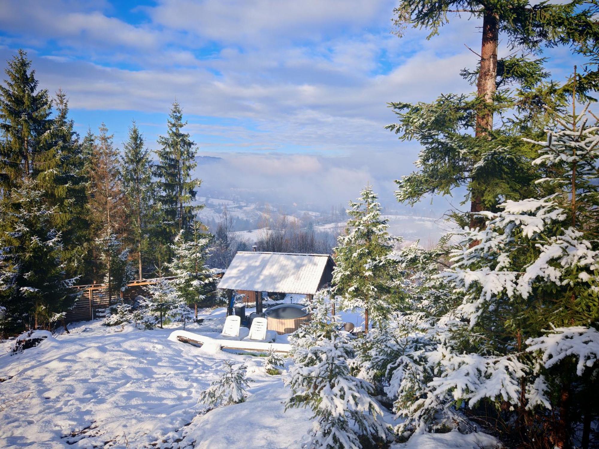 Alpina Panoramic Hotel Moisei Luaran gambar