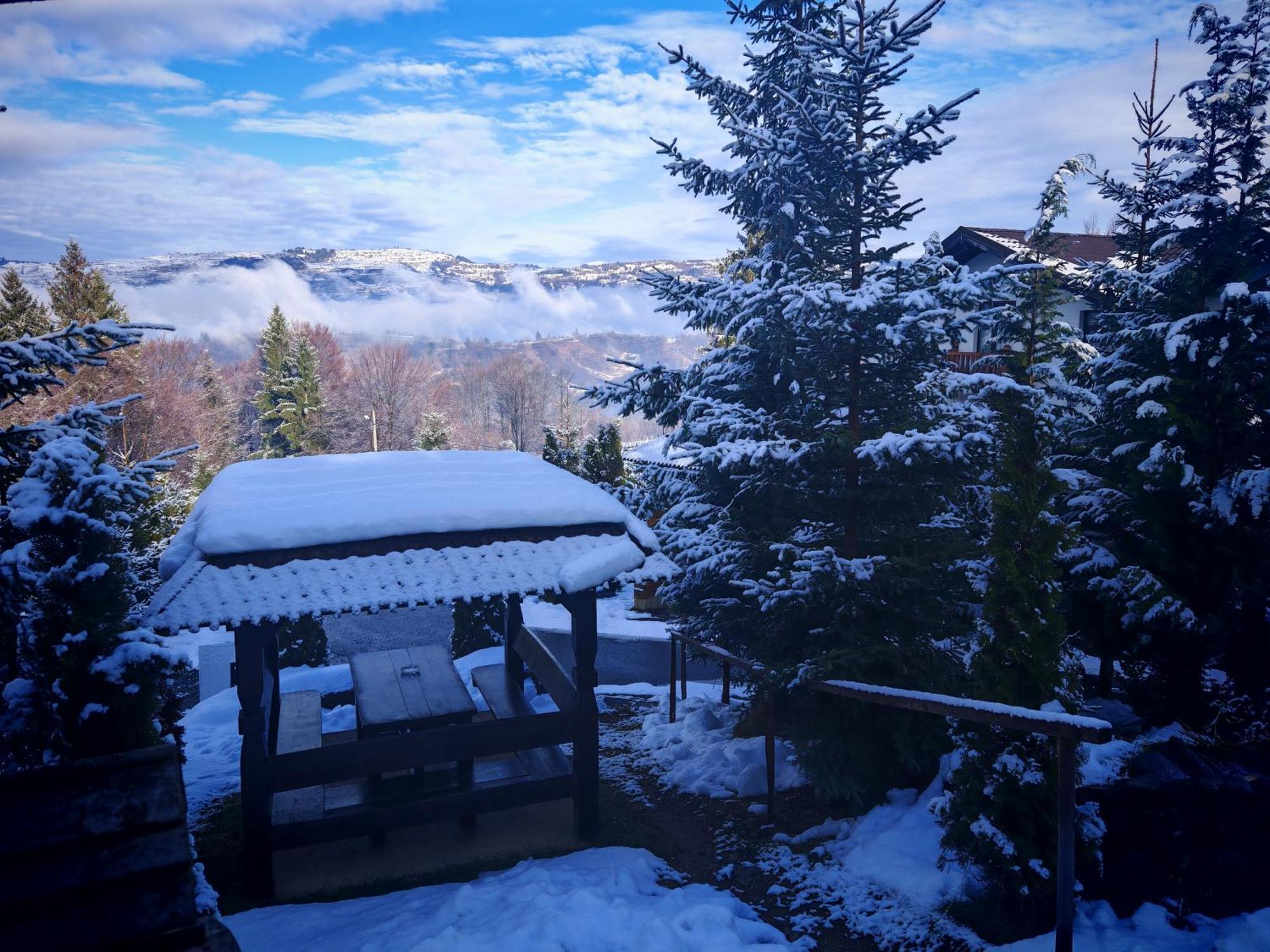 Alpina Panoramic Hotel Moisei Luaran gambar
